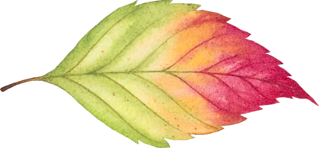 hoja otoño