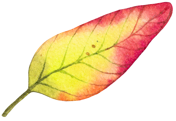 hoja otoño